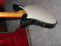 Rickenbacker 1000/6 , Black: Close up - Free2