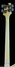 Rickenbacker 4001/4 BH BT, White: Neck - Rear