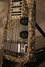 Rickenbacker 100/6 LapSteel, Gray Zolatone: Free image2