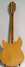 Rickenbacker 330/12 , Mapleglo: Full Instrument - Rear