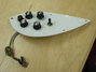 Rickenbacker Jackplate/ , : Close up - Free2