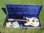 Rickenbacker 381/6 V69, Mapleglo: Full Instrument - Front