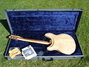 Rickenbacker 381/6 V69, Mapleglo: Full Instrument - Rear