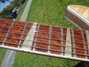 Rickenbacker 381/6 V69, Mapleglo: Neck - Front