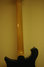 Rickenbacker 610/6 BH BT, Midnightblue: Neck - Rear