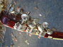 Rickenbacker 360/12 V64, Fireglo: Headstock - Rear
