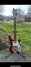 Rickenbacker 4003/4 S, Fireglo: Full Instrument - Front