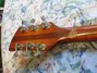 Rickenbacker 335/6 Capri, Autumnglo: Headstock - Rear