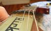 Rickenbacker 335/6 Capri, Autumnglo: Neck - Front