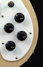 Rickenbacker 4001/4 C64, Mapleglo: Close up - Free2