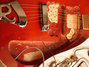 Rickenbacker 481/6 Slant Fret, Burgundy: Free image
