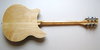 Rickenbacker 360/6 , Mapleglo: Full Instrument - Rear