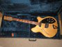 Rickenbacker 360/12 BH BT, Mapleglo: Free image