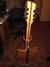 Rickenbacker 360/12 BH BT, Mapleglo: Headstock - Rear