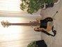 Rickenbacker 3001/4 BT, Mapleglo: Full Instrument - Front