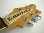 Rickenbacker 481/6 Slant Fret, Mapleglo: Headstock