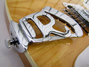Rickenbacker 481/6 Slant Fret, Mapleglo: Free image