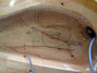 Rickenbacker 481/6 Slant Fret, Mapleglo: Close up - Free2