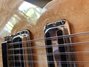 Rickenbacker 370/12 RM, Mapleglo: Close up - Free2