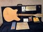 Rickenbacker 370/12 RM, Mapleglo: Full Instrument - Rear