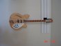 Rickenbacker 370/12 RM, Mapleglo: Full Instrument - Front