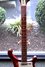 Rickenbacker 4001/4 V63, Fireglo: Neck - Front