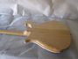 Rickenbacker 620/6 , Mapleglo: Full Instrument - Rear
