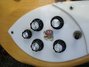 Rickenbacker 366/12 , Mapleglo: Close up - Free2