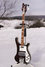Rickenbacker 4001/4 , Eggplant: Full Instrument - Front