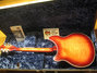 Rickenbacker 360/12 CW, Fireglo: Full Instrument - Rear