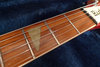 Rickenbacker 360/6 WB, Fireglo: Free image