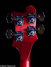 Rickenbacker 4003/4 , Fireglo: Headstock - Rear