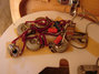 Rickenbacker 460/6 , Mapleglo: Close up - Free2