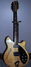 Rickenbacker 360/12 BH BT, Mapleglo: Full Instrument - Front