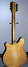 Rickenbacker 360/12 BH BT, Mapleglo: Full Instrument - Rear