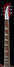 Rickenbacker 620/6 , Burgundy: Neck - Front