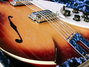 Rickenbacker 1993/12 Sam Ash Reissue (1993), Autumnglo: Close up - Free