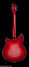 Rickenbacker 360/6 , Fireglo: Full Instrument - Rear