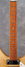 Rickenbacker 325/6 V63, Mapleglo: Neck - Front