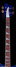 Rickenbacker 4003/4 , Midnightblue: Neck - Front