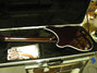 Rickenbacker 360/6 75th Ann, DCMetallic: Full Instrument - Rear