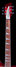 Rickenbacker 360/6 , Fireglo: Neck - Front