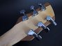 Rickenbacker 650/6 Dakota, Natural Walnut: Headstock - Rear