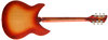 Rickenbacker 345/6 , Fireglo: Full Instrument - Rear