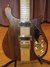Rickenbacker 650/6 Sierra, Natural Walnut: Body - Front