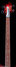 Rickenbacker 4003/4 , Fireglo: Neck - Front