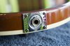 Rickenbacker 481/6 Slant Fret, Walnut: Free image2