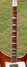 Rickenbacker 481/6 Slant Fret, Walnut: Neck - Front