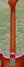 Rickenbacker 481/6 Slant Fret, Walnut: Neck - Rear