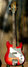 Rickenbacker 3000/4 , Fireglo: Full Instrument - Front